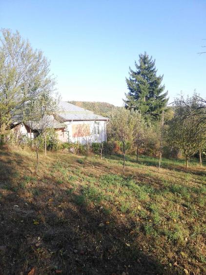 Vanzare case,+teren 25.000mp-Calinesti Arges-langa Pitesti - 8