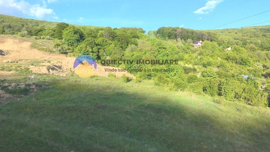 TEREN intravilan PIATRA NEAMT strada DRAGOS VODA (Valea Viei) - 3