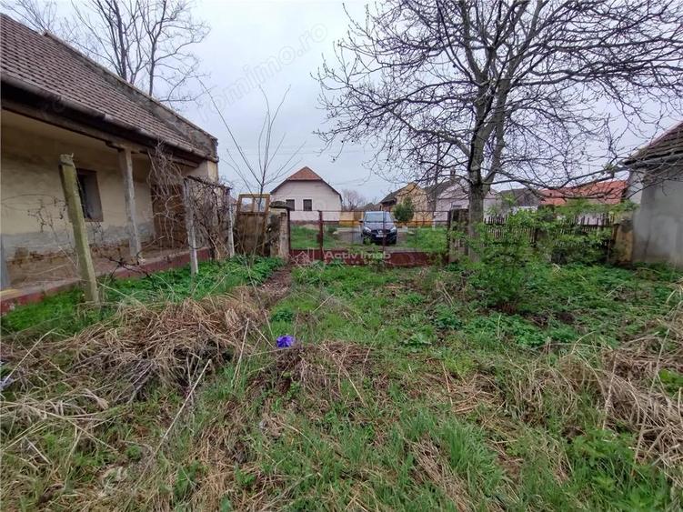 Iecea Mare - Timis, Casa cu Gradina, 1800mp Teren, Pret Negociabil - 8