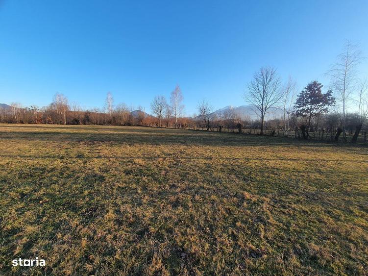 Teren intravilan Bran Sohodol zona de case - 1