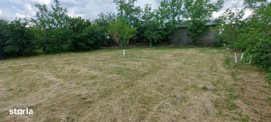 Teren intravilan de vanzare | 900 mp | Movila | Toate utilitatile - 5