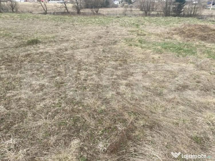 Teren intravilan de vanzare, 4047 mp, zona Vatra Dornei - 3