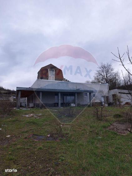 Pensiune/Hotel HANUL IZVORUL CRISUL REPEDE - 9