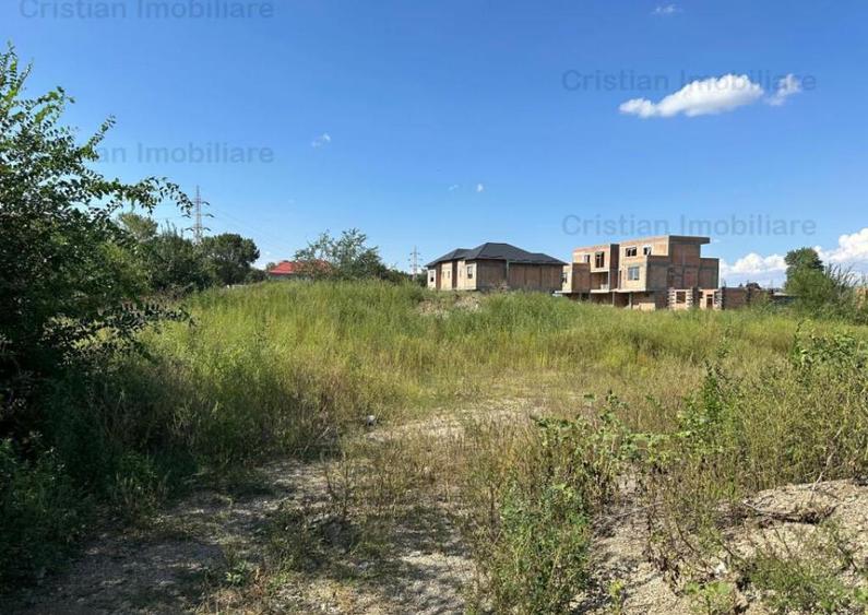 1073mp cu 25m deschidere Radu Negru Buzaului 121Euro/ mp - 2