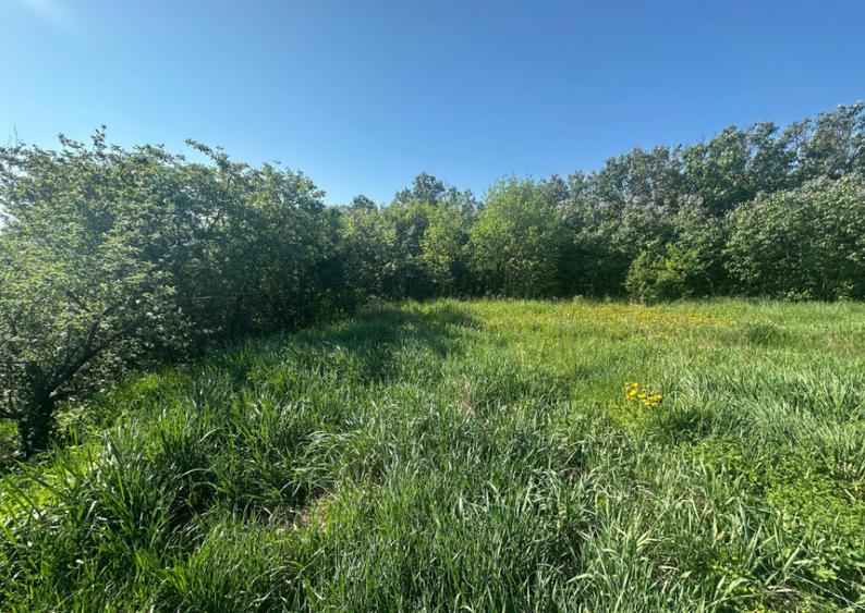 Casa Individuala Ozun Covasna teren 3200 mp - 9