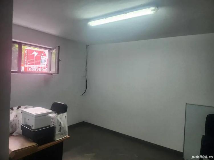 Demisol de vanzare - 2