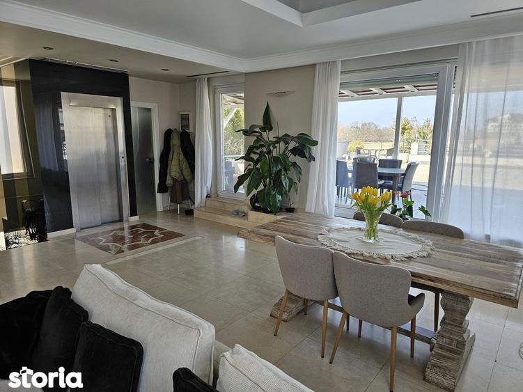 Herastrau-3/3-penthouse, 400 mp, lift privat, terase 260 mp, parcare - 19