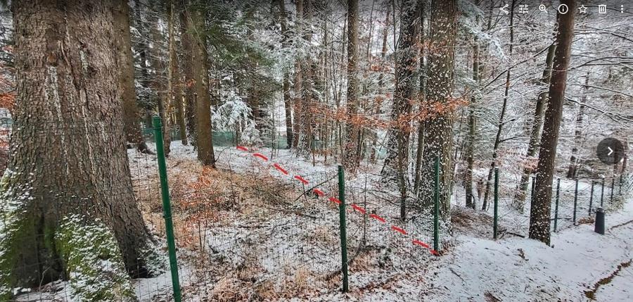 Teren Sinaia/Cumpatu - 9