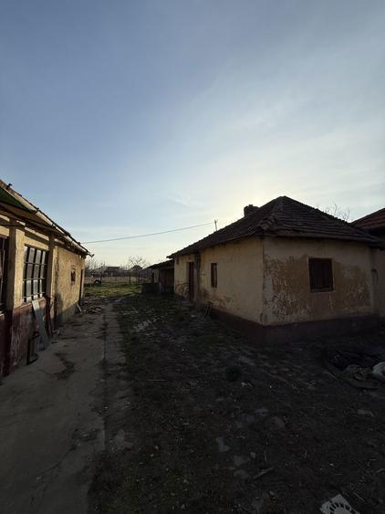 Teren ideal pentru casa noua Gai pozitie excelenta in Gai! - 5