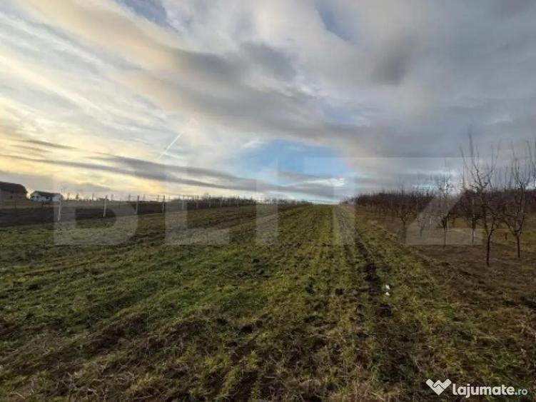 Teren intravilan 33 ari, Simleu Silvaniei - 2