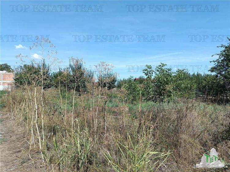 Teren intravilan in localitatea Cornetu cu deschidere mare, ideal pentru dezvolt - 5