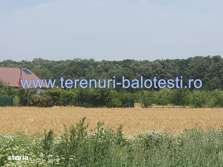 Vanzare teren langa padure,drum amenajat,case noi ,620 mp,26500 E - 2