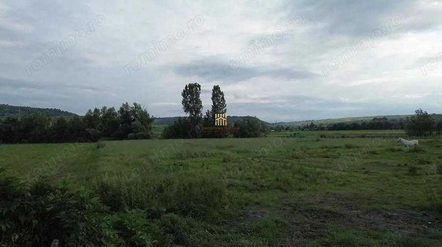 Teren 3953 mp Falticeni Tarna Mare De Vanzare 0727817187 - 6