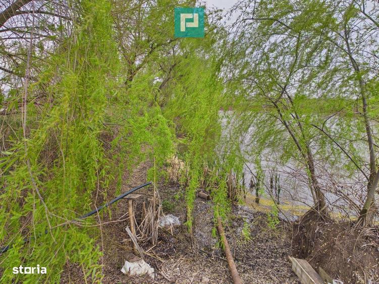 Teren 1 ha cu balta populata Alio? (Ma?loc) - 2
