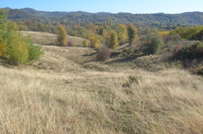 OFERTĂ SPECIALĂ! Teren intravilan de vânzare în Câmpina pe Dealul Muscel - 1