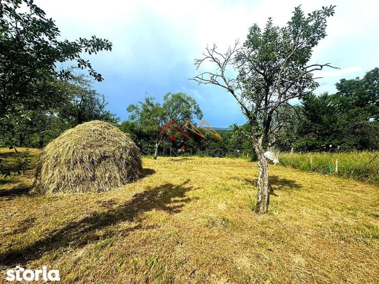 Teren 2037 mp, 17 ml deschidere, 28 euro/m2, vedere panoramica - 7