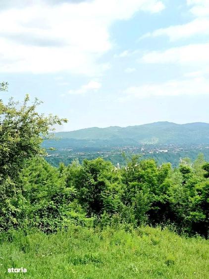 Ansamblu reziden?ial 5 case de vacan?a in Plaiu Campinei, Prahova - 11