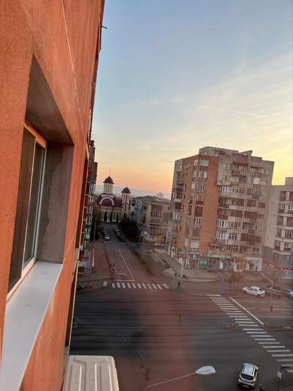 Garsooniera Butterfly - 7