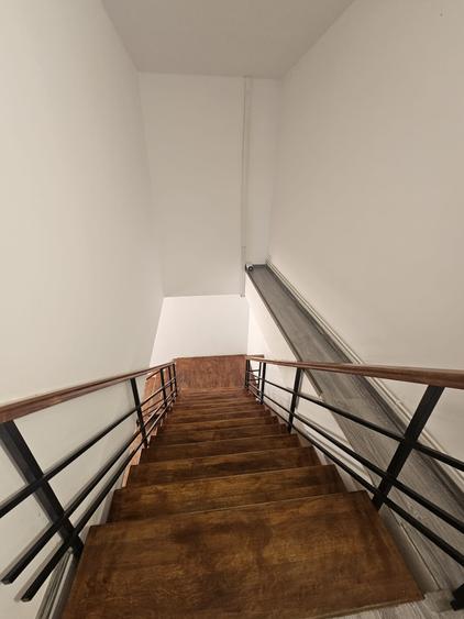 Proprietate speciala Dumbravita - casa individuala !! - 37