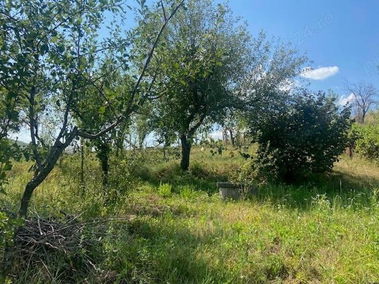 Vand casa Dragasani, Carcadiesti - 4