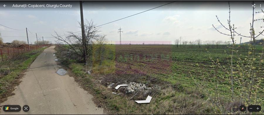 Teren 40ha Adunatii Copăceni | Industrial/ Logistic - 4