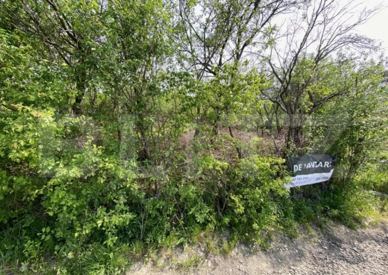 Teren zona Episcopiei - 5