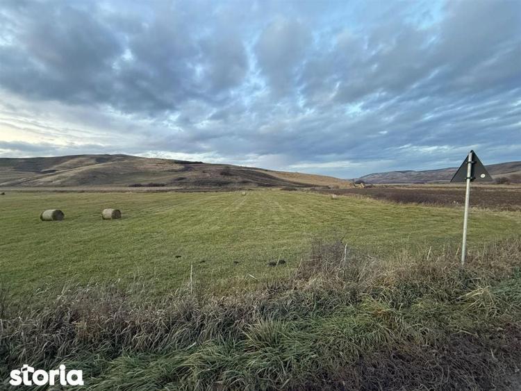 Teren Extravilan I 6000 Mp I Acces la drum | Cojocna - 7