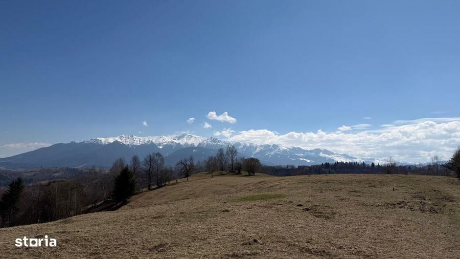 Teren 4584 mp de vanzare Pestera, Moeciu, Brasov - 6