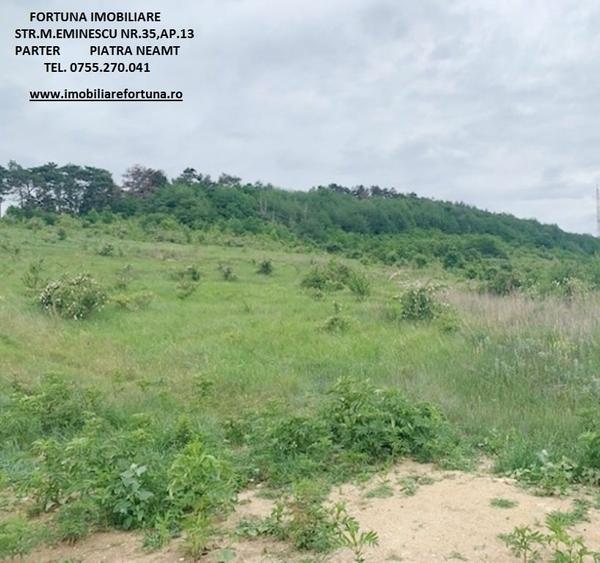 Teren zona Pietricica, cadru natural superb - 2