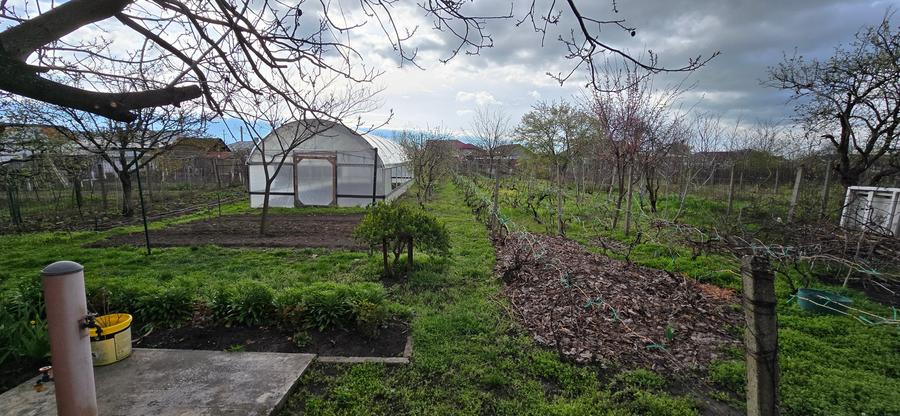 Service auto si vila de locuit Unirea Odobesti - 5