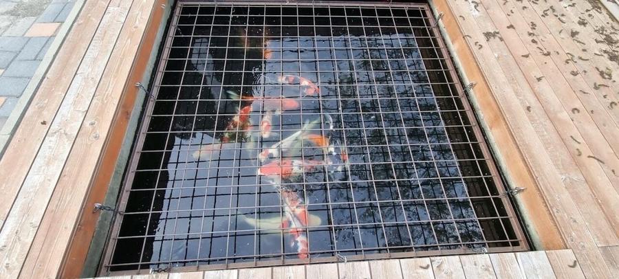 Vila individuala Drajna - Valenii de Munte - Lac! - 13