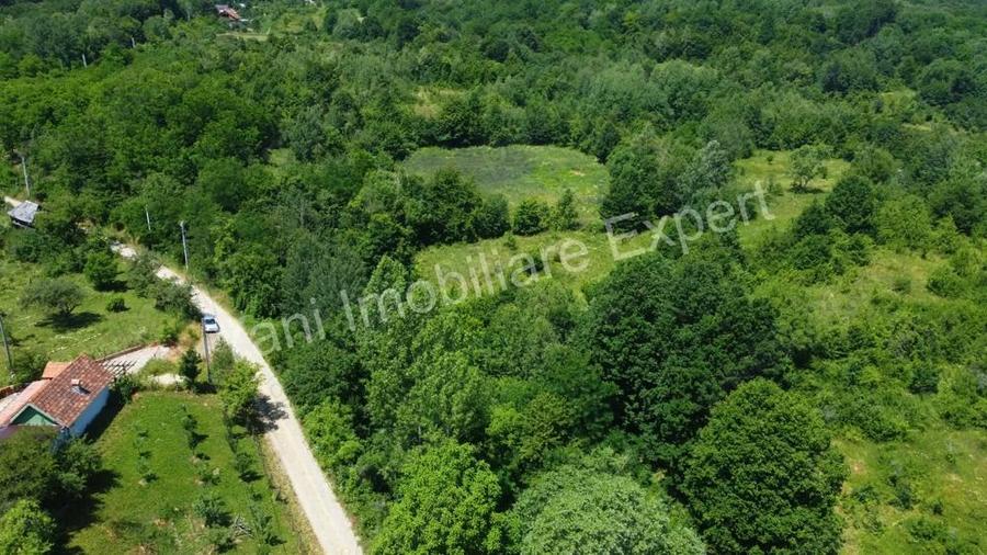Teren de vanzare in comuna Baicule?ti, sat Valea lui Enache, jude? Arge?. - 7