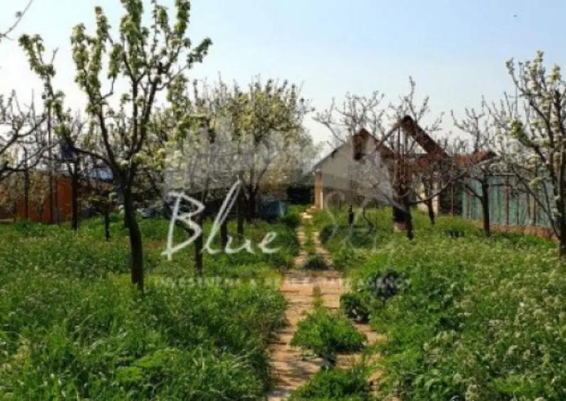 Casa cu teren 1200 mp situata in Localitatea Mihai Kogalnice - 10