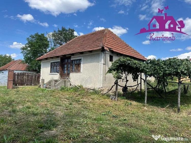 Casa in localitatea Carandeni - 1