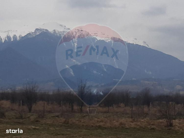 Teren 10,000mp Rasnov / Drumul Panicel - 7