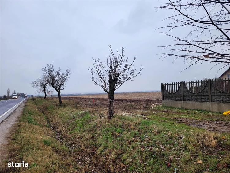 Teren intravilan,Calea Aradului,zona aeroport, Oradea - 5