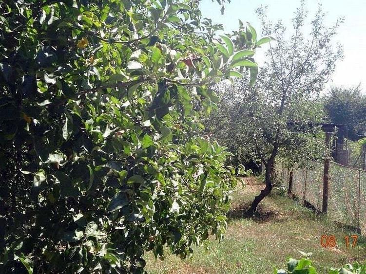 De vanzare - casa cu 4 camere, 900 mp teren - str. Razboieni. - 9