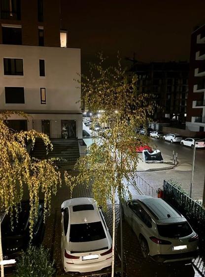 Catted Family Pipera - 2