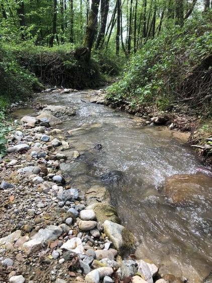 Teren Zona Turistica Transalpina - Pestera Muierilor 9.746 mp - 1