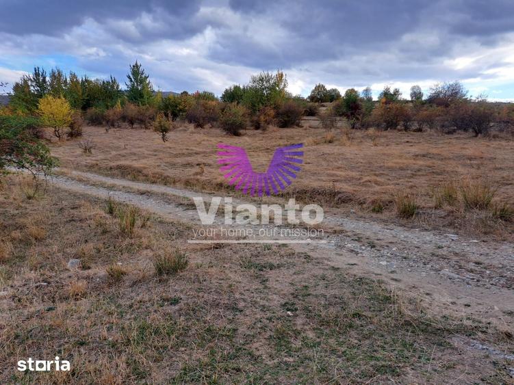Teren de 1000 mp, în Central