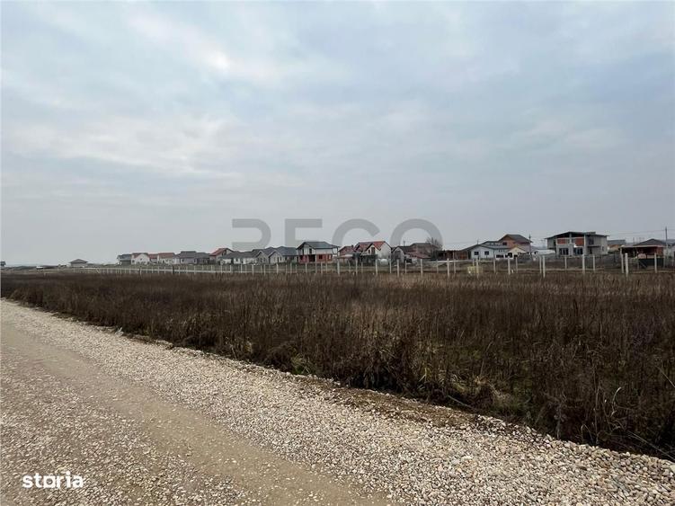 RECO Teren intravilan mixt -loc de casa sau servicii 500 mp Cihei - 5