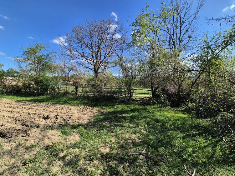 Comision 0 %/ Teren intravilan Sercaita 2247 mp - 5