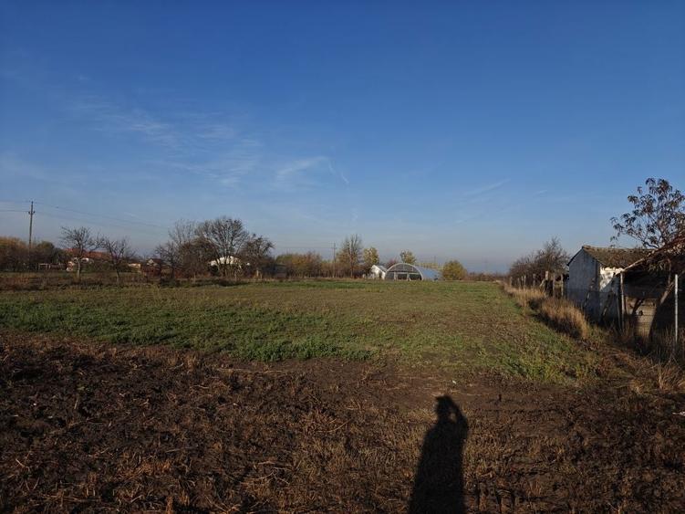 Casa de vanzare! - 7