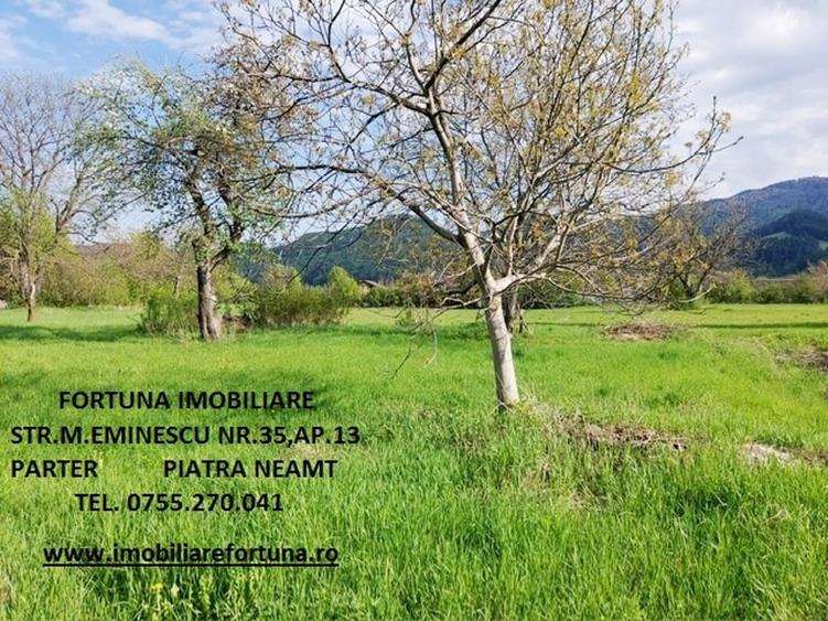 Teren intravilan, Alexandru cel Bun - 1