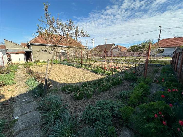 BOCSA Romana, Casa Cocheta cu Gradina - 22