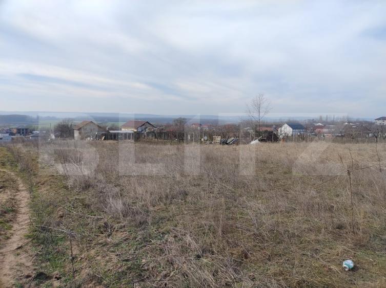 Teren intravilan, Malu Mare, 1469 mp, Aleea I Nucilor - 5