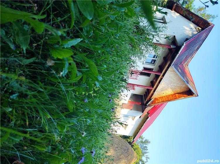 Vand teren si casa in comuna suici judetul arges - 10