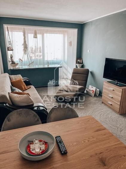 Apartament 2 camere, centrala proprie, pet friendly, zona Torontarului