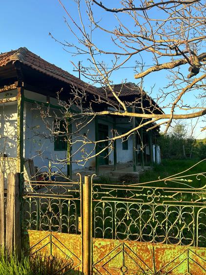 Teren vanzare Dumitresti, Judetul Olt - 3