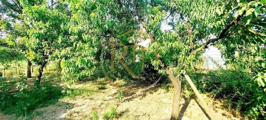 Oferim spre vanzare casa, 6 camere, 162mp utili, 809mp teren, in Giroc - 10